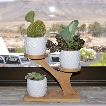 Casa Vista Oasis En Fuerteventura Villa La Guirra ภายนอก รูปภาพ