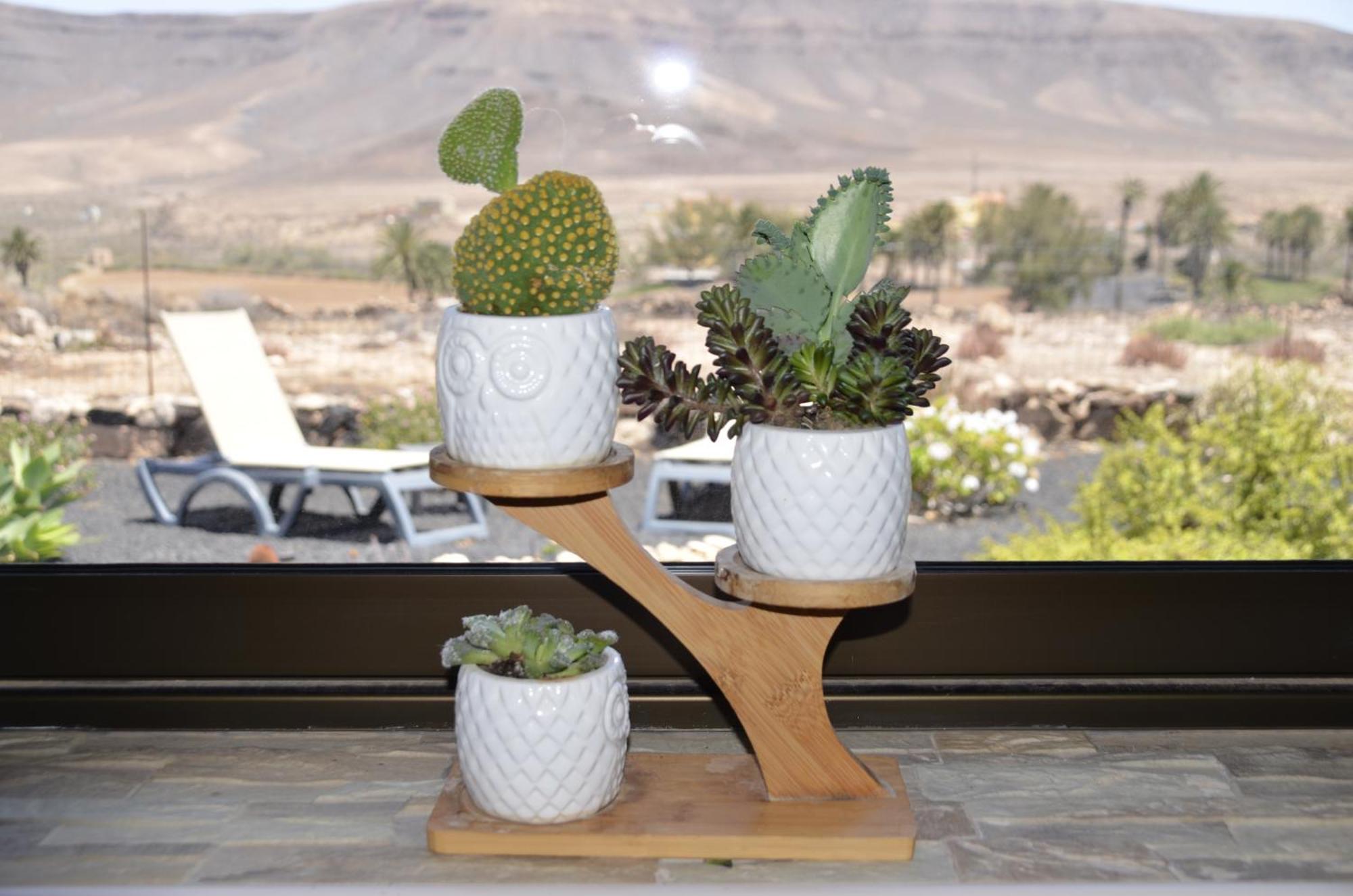 Casa Vista Oasis En Fuerteventura Villa La Guirra ภายนอก รูปภาพ